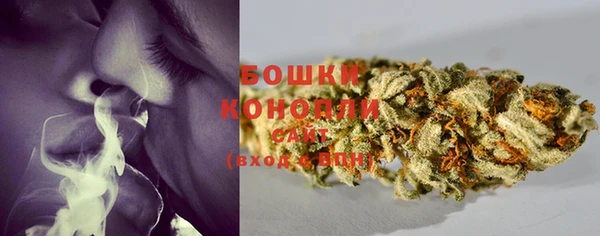 ПСИЛОЦИБИНОВЫЕ ГРИБЫ Алзамай