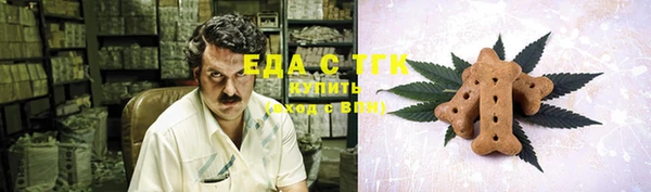 индика Алексин
