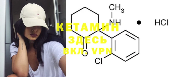 индика Алексин