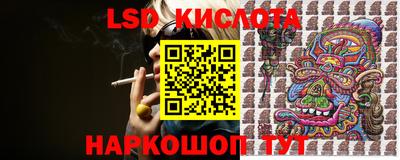 гидра Новодвинск