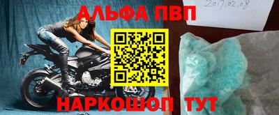гидра Новодвинск