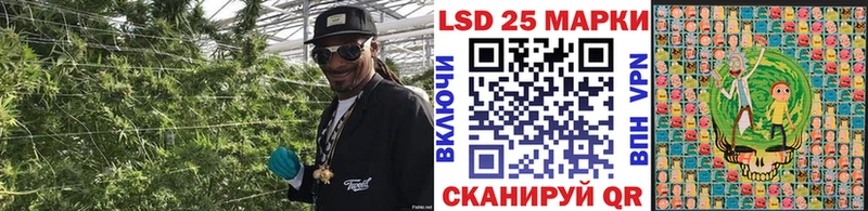купить   Глазов  Марки NBOMe 1,8мг 