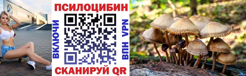 Галлюциногенные грибы прущие грибы  Глазов 