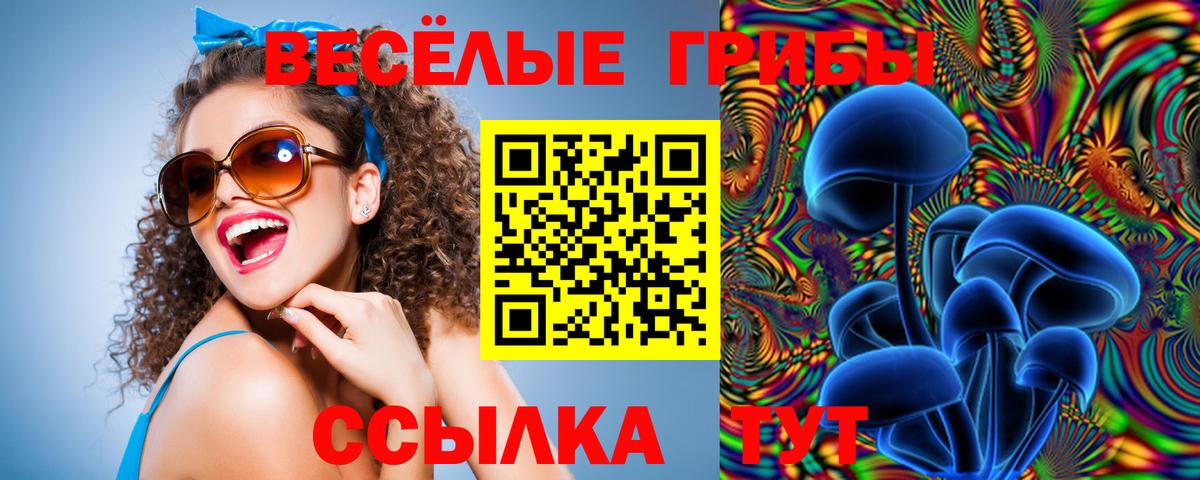 Глазов  Псилоцибиновые грибы прущие грибы  Вход с VPN  Галлюциногенные грибы прущие грибы 