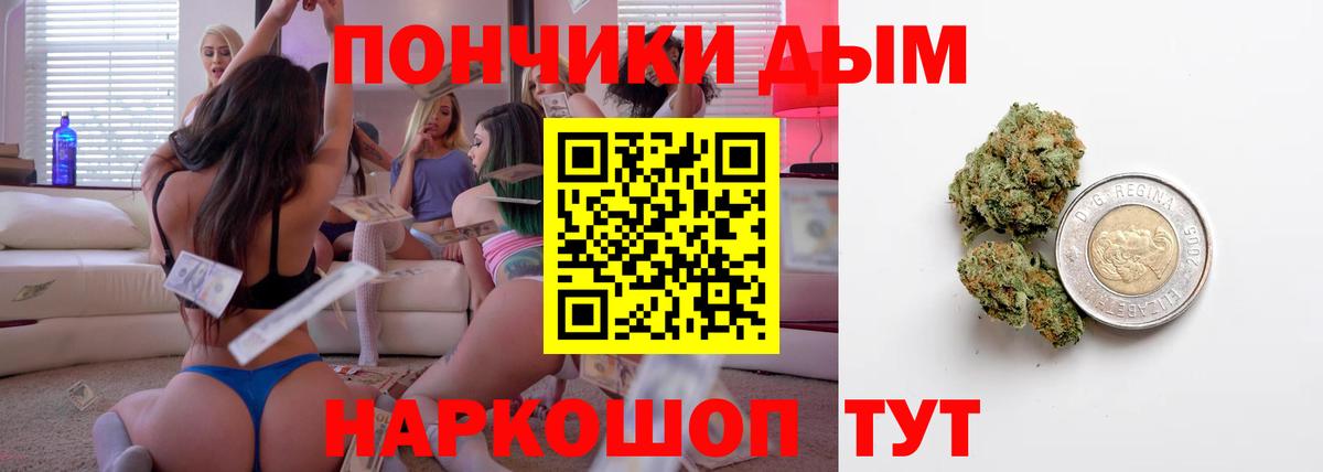 Глазов  Бошки Шишки индика  Вход с VPN  Шишки марихуана план  Каннабис сатива 